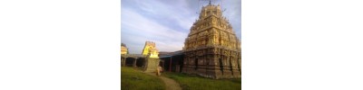 காமரசவல்லி